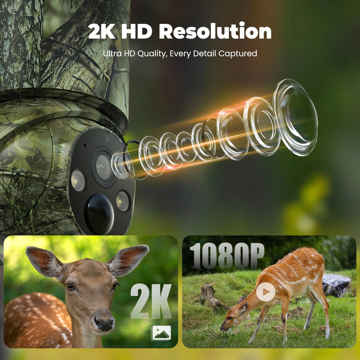 4G Solar-Powered LTE Cellular Trail Camera (With a SD Card And a SIM Card), Color Night Vision, Two-Way Talk, 1080P FHD, 360°True Panoramic Vision, SD Card/Cloud Storage, PIR Detection, Instant Alerts, Instant Communication,