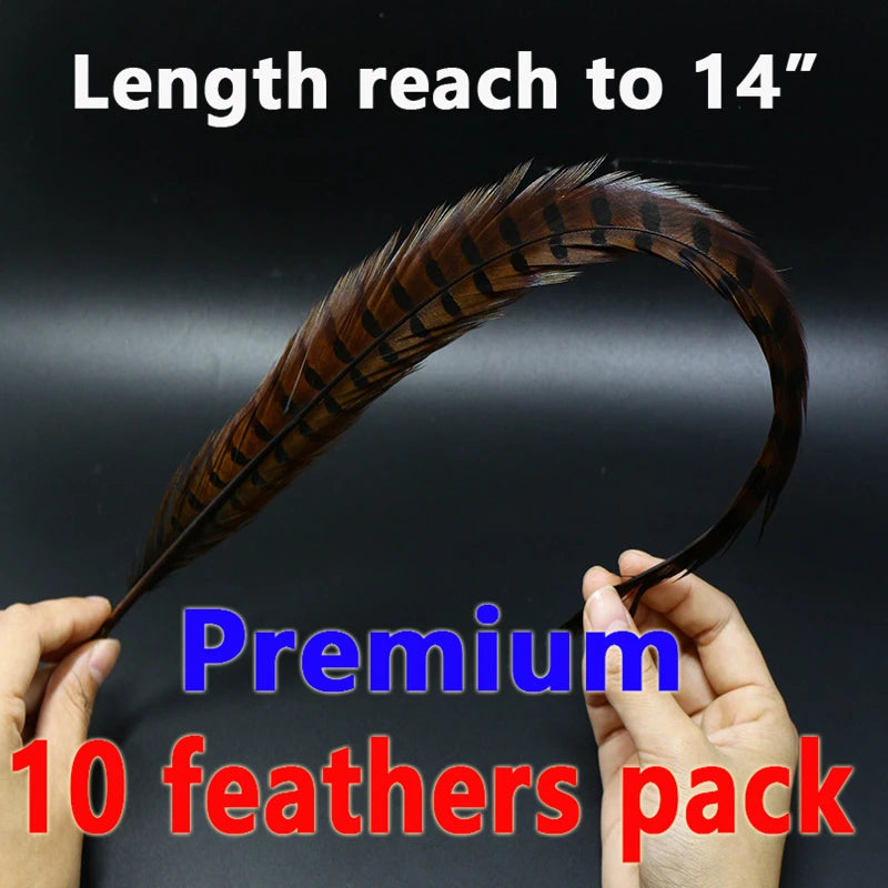 10 Feathers Pack Ringneck Pheasant Tail Feathers 14 Inches Long Male Pheasant Feather Nymph Wingcase Tail Fly Tying Mateerials