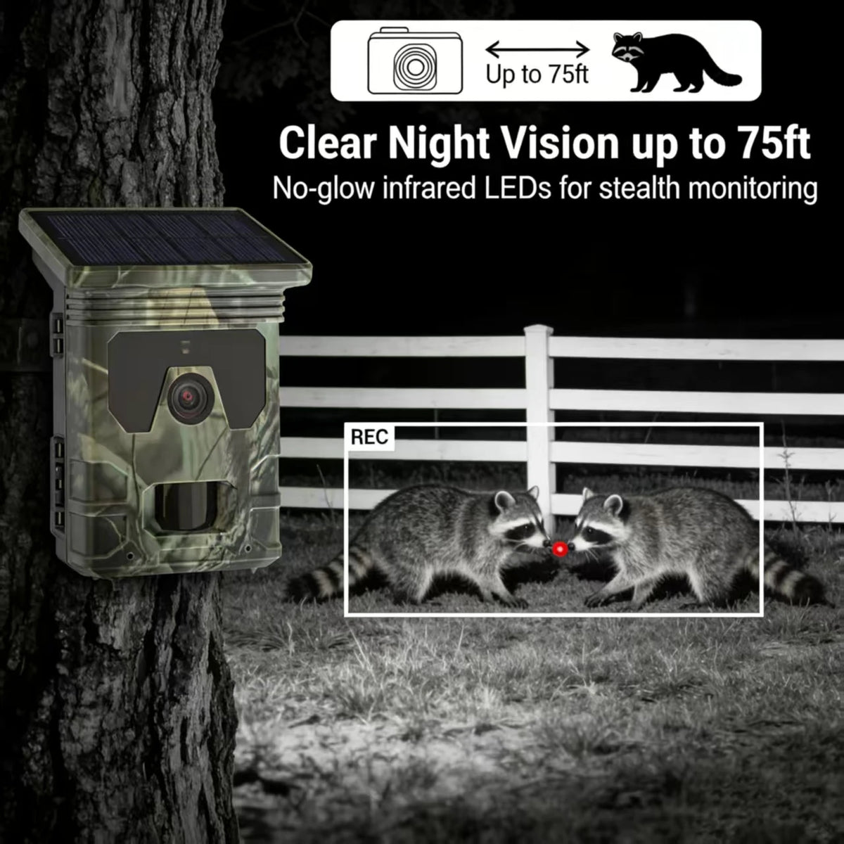 50MP 4K Solar Panel Hunting Camera Infrared Night Vision Monitoring Wildlife Trap Trail Camera Video Photo Recorder Cam