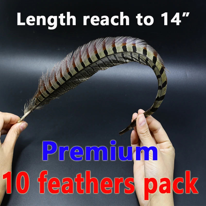 10 Feathers Pack Ringneck Pheasant Tail Feathers 14 Inches Long Male Pheasant Feather Nymph Wingcase Tail Fly Tying Mateerials