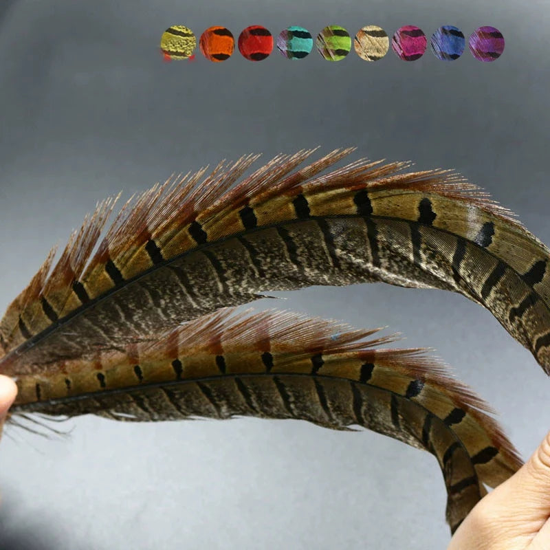 10 Feathers Pack Ringneck Pheasant Tail Feathers 14 Inches Long Male Pheasant Feather Nymph Wingcase Tail Fly Tying Mateerials