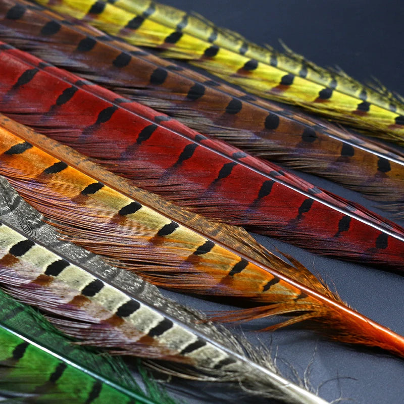 10 Feathers Pack Ringneck Pheasant Tail Feathers 14 Inches Long Male Pheasant Feather Nymph Wingcase Tail Fly Tying Mateerials
