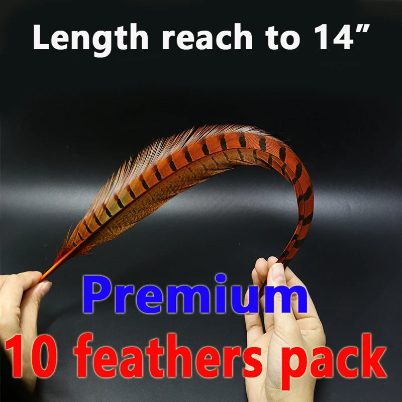 10 Feathers Pack Ringneck Pheasant Tail Feathers 14 Inches Long Male Pheasant Feather Nymph Wingcase Tail Fly Tying Mateerials