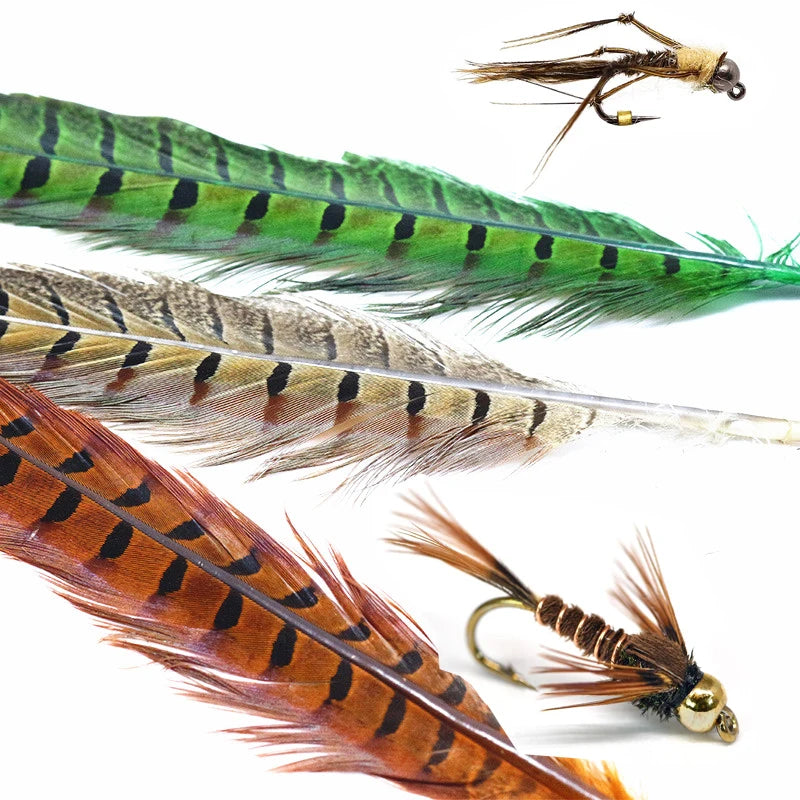 10 Feathers Pack Ringneck Pheasant Tail Feathers 14 Inches Long Male Pheasant Feather Nymph Wingcase Tail Fly Tying Mateerials