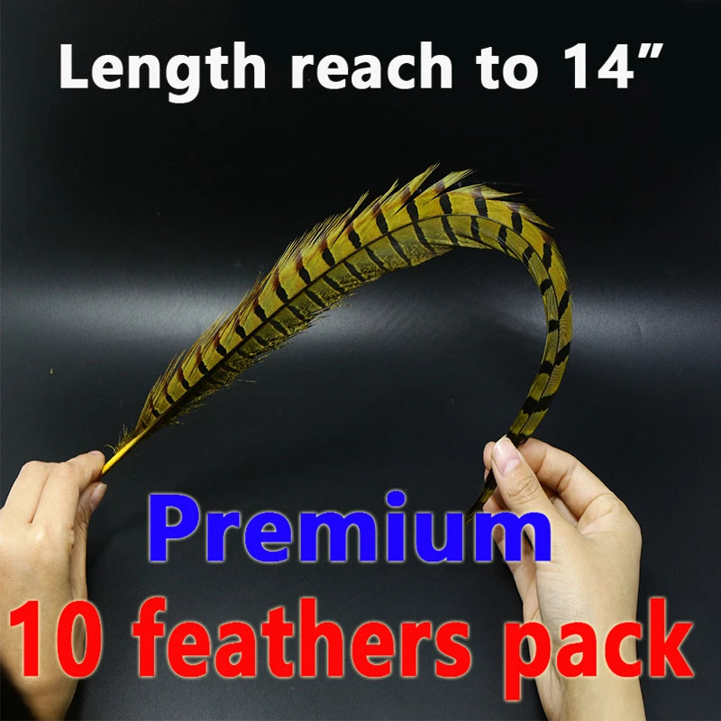 10 Feathers Pack Ringneck Pheasant Tail Feathers 14 Inches Long Male Pheasant Feather Nymph Wingcase Tail Fly Tying Mateerials