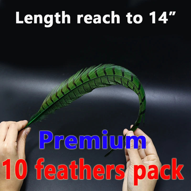 10 Feathers Pack Ringneck Pheasant Tail Feathers 14 Inches Long Male Pheasant Feather Nymph Wingcase Tail Fly Tying Mateerials