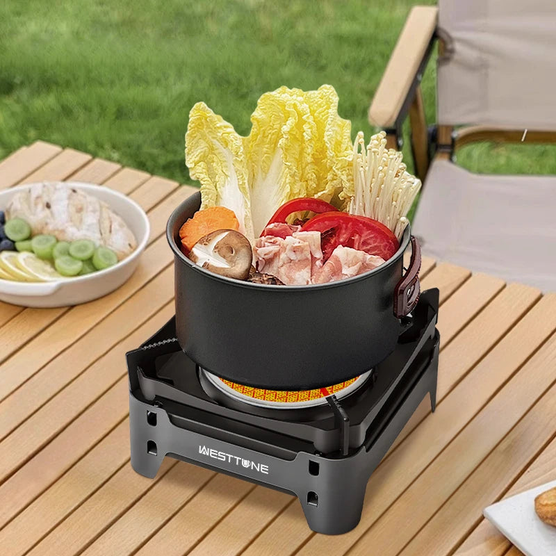 WESTTUNE Camping Cooking Burner Portable 3600W Gas Stove Outdoor Infrared Combustion Stove with Electronic Ignition for Garden
