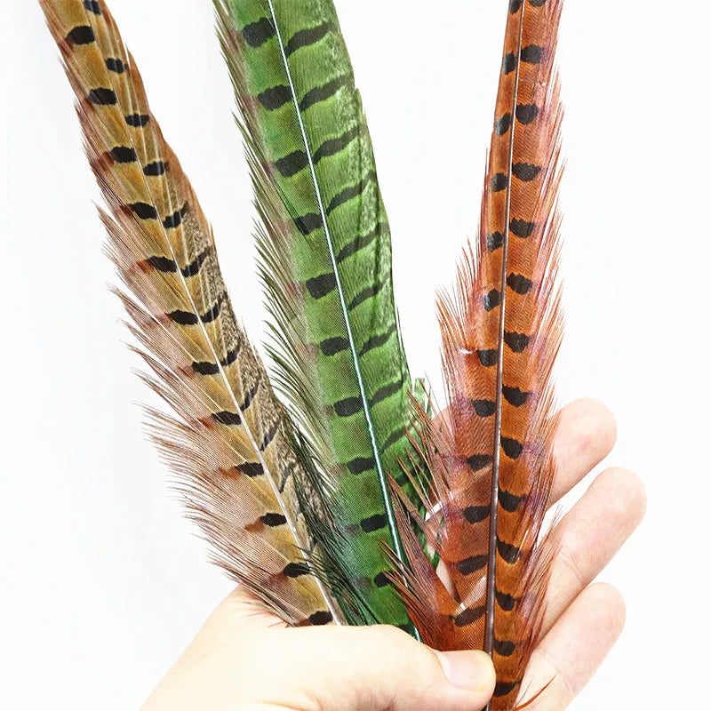 10 Feathers Pack Ringneck Pheasant Tail Feathers 14 Inches Long Male Pheasant Feather Nymph Wingcase Tail Fly Tying Mateerials